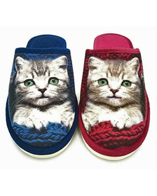Pohodlné pantofle kočka modře červené